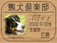 �o�f�B�}�}����̂g�o�ւf�n�I